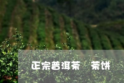 正宗普洱茶 茶饼/2023041282959